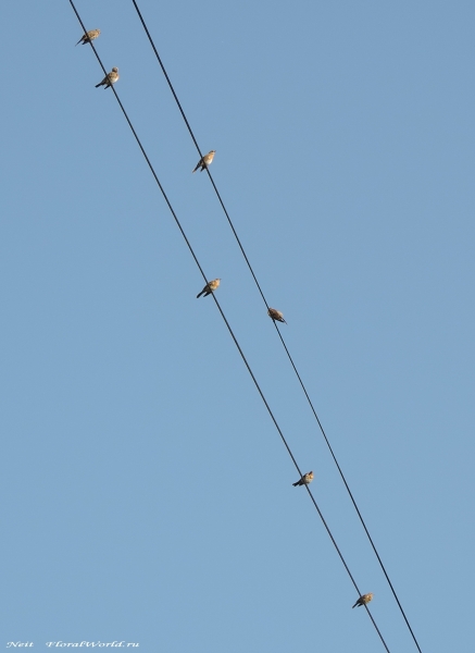 DSCN7040-1.jpg