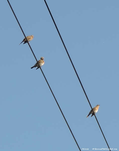 DSCN7040-2.jpg