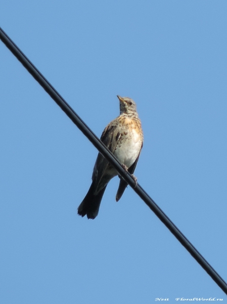 DSCN7051.jpg