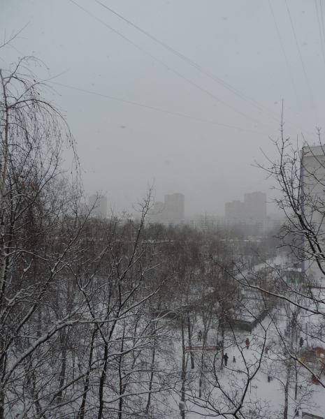 DSCN85361.jpg