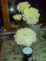 Имя файла=DSC02721.JPG
Размер файла=624КБ
Размеры=768x1024
Дата=Сент 16, 2010 DSC02721.JPG