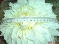 Имя файла=DSC02725.JPG
Размер файла=490КБ
Размеры=1024x768
Дата=Сент 16, 2010 DSC02725.JPG