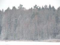 Имя файла=DSCN6713.jpg
Размер файла=919КБ
Размеры=1500x1125
Дата=Янв 17, 2015 DSCN6713.jpg