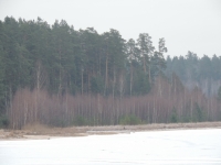 Имя файла=DSCN6717.jpg
Размер файла=835КБ
Размеры=1500x1125
Дата=Янв 17, 2015 DSCN6717.jpg