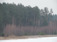Имя файла=DSCN6718.jpg
Размер файла=1004КБ
Размеры=1500x1125
Дата=Янв 17, 2015 DSCN6718.jpg