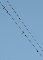 DSCN7029-1.jpg
