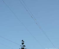 DSCN7030.jpg