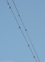 Имя файла=DSCN7040-1.jpg
Размер файла=1567КБ
Размеры=1825x2500
Дата=Авг 18, 2018 DSCN7040-1.jpg