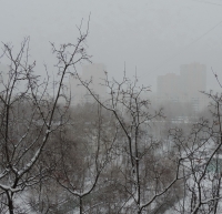 Имя файла=DSCN85221.jpg
Размер файла=1627КБ
Размеры=1500x1451
Дата=Янв 24, 2015 DSCN85221.jpg