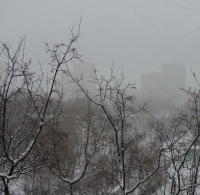 Имя файла=DSCN85251.jpg
Размер файла=1577КБ
Размеры=1500x1465
Дата=Янв 24, 2015 DSCN85251.jpg