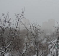 Имя файла=DSCN85271.jpg
Размер файла=1543КБ
Размеры=1500x1414
Дата=Янв 24, 2015 DSCN85271.jpg