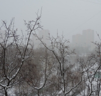 Имя файла=DSCN85291.jpg
Размер файла=1574КБ
Размеры=1500x1437
Дата=Янв 24, 2015 DSCN85291.jpg