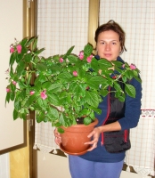 Имя файла=DSCN8498_modified~0.jpg
Размер файла=840КБ
Размеры=891x1024
Дата=Окт 27, 2010 DSCN8498_modified~0.jpg