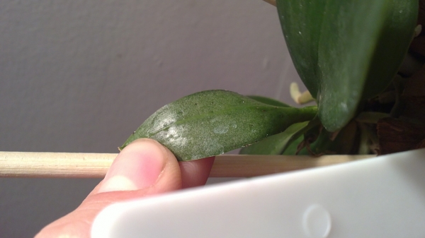 26102011370.JPG