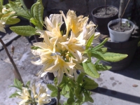 07052008014.jpg