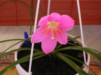 DSCN2999.JPG