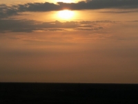 x_090a80d2.jpg