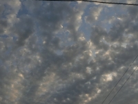 x_e4f89302.jpg