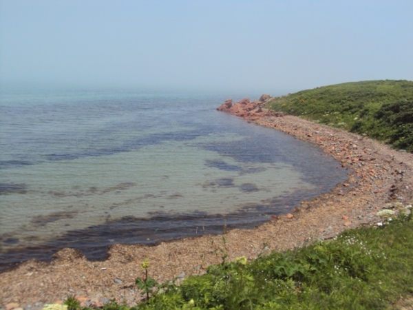 DSC04573.JPG