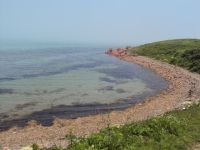 DSC04573.JPG