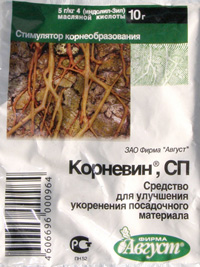 Корневин